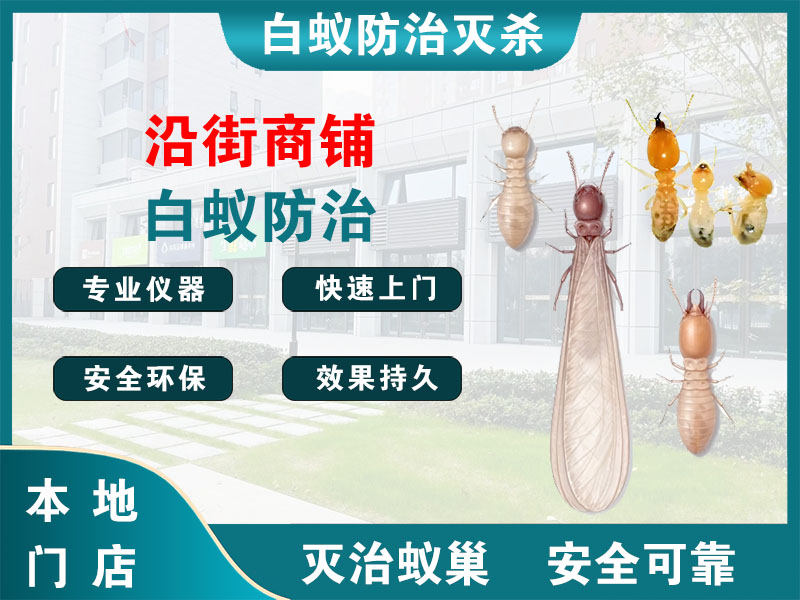 仪征沿街商铺白蚁防治