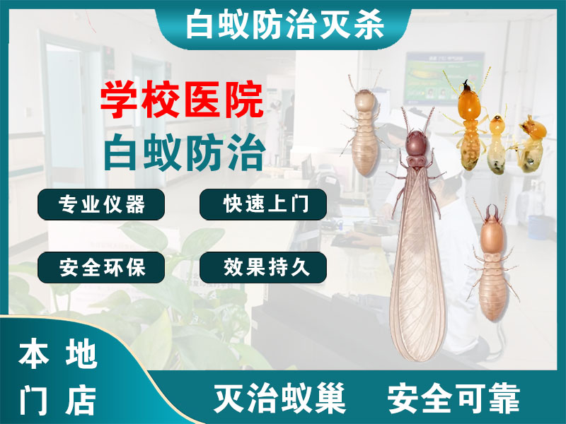 仪征学校医院白蚁防治