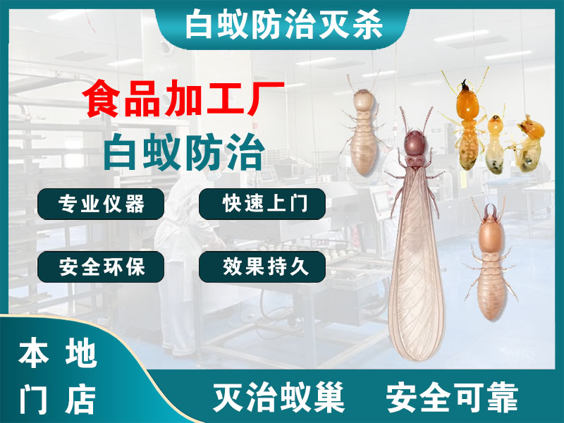 仪征食品加工厂白蚁防治