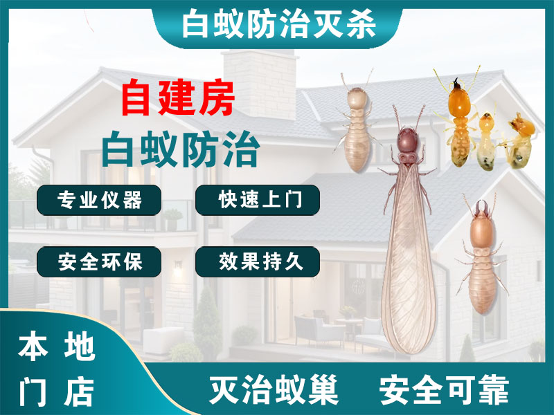 仪征自建房白蚁防治