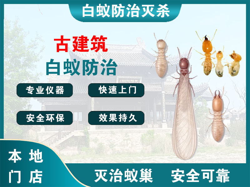 仪征古建筑白蚁防治