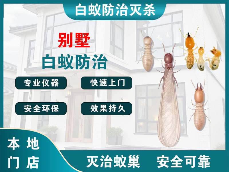 仪征别墅白蚁防治